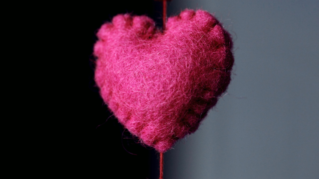 felt_love_heart_craft_unsplash