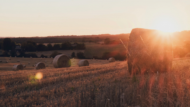 field_hay_sunset_unsplash