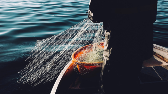 fishing_net_fisherman_boat_unsplash