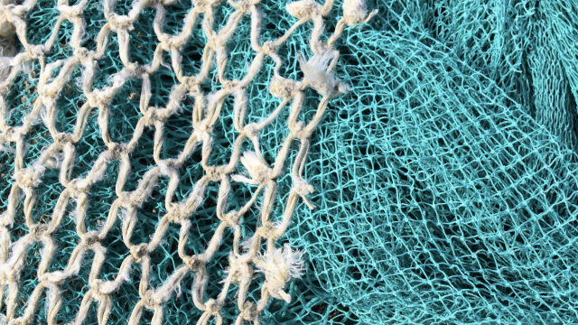 fishing_nets_sea_twine_unsplash