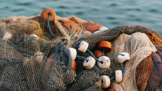fishing_nets_sea_unsplash