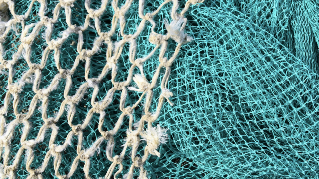 fishing_nets_white_blue_unsplash
