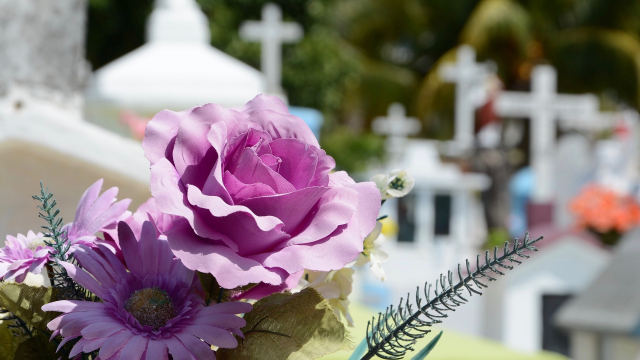 flowers_cemetery