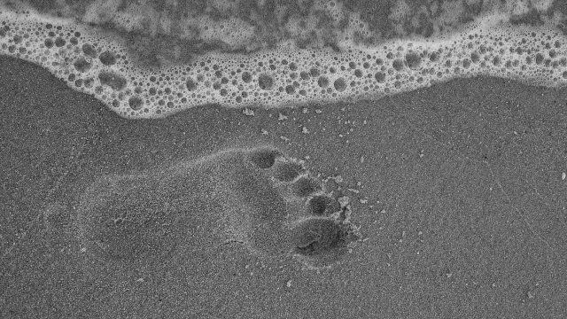 footprint_sand_tide