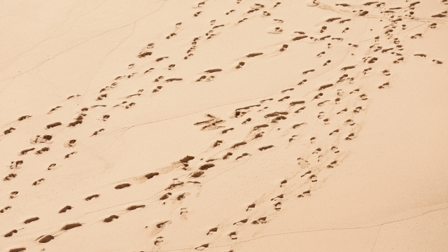 footprints_desert_crowd_unsplash