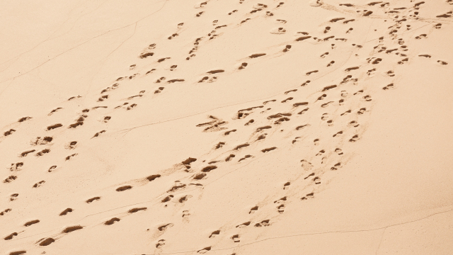 footprints_desert_crowd_unsplash