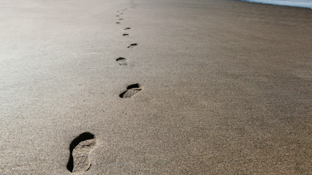 footsteps_sand_beach_following_unsplash
