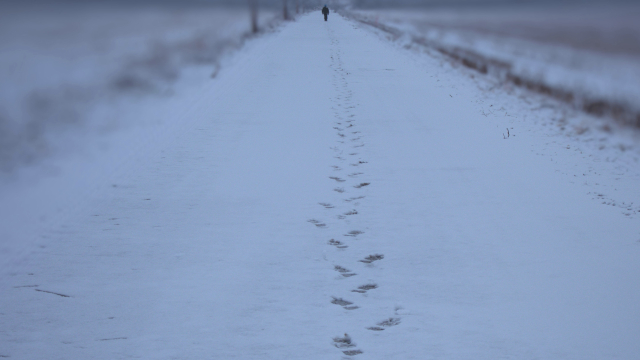 footsteps_snow_path_unsplash