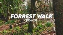 Forrest Walk - Prayer