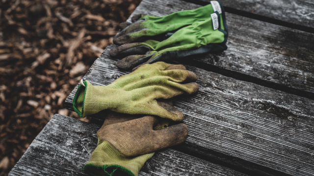 gardening_gloves_bench_unsplash