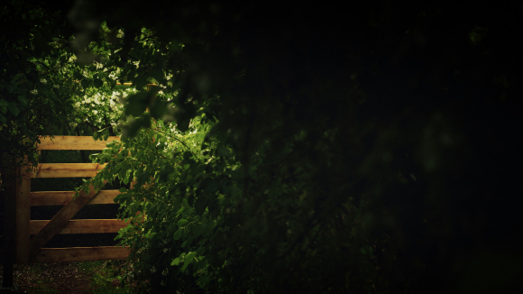 Enter by the narrow gate