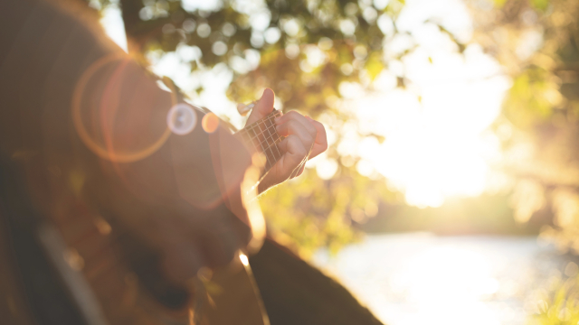 guitar_sunshine_trees_unsplash