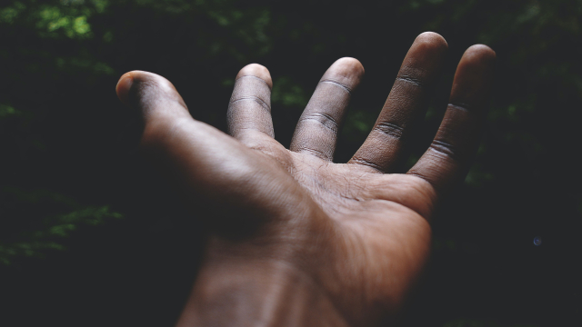 hand_open_palm_unsplash