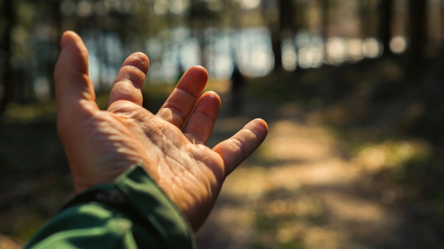 hand_outstretched_nature