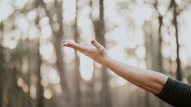 hand_outstretched_trees_unsplash