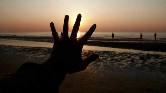 hand_silhouette_beach_unsplash