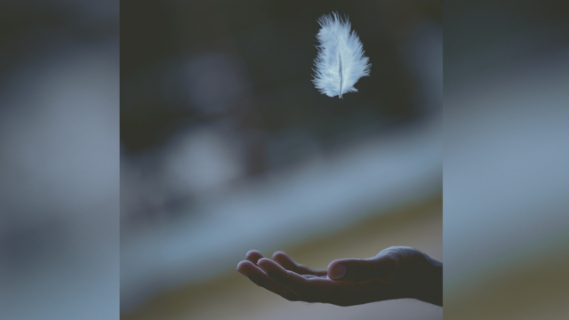 hand_white_feather