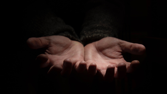 hands_palm_up_unsplash