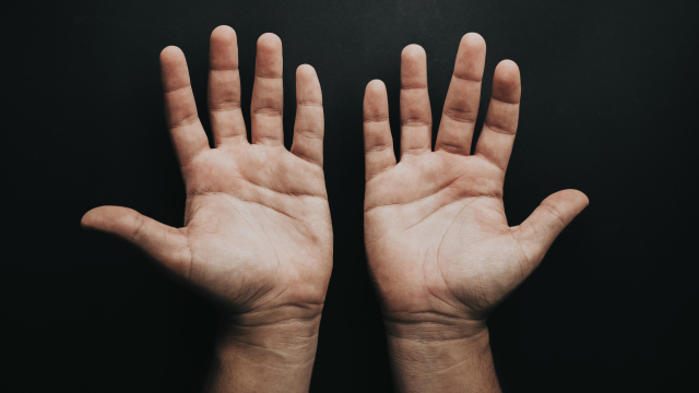 hands_palms_up_unsplash