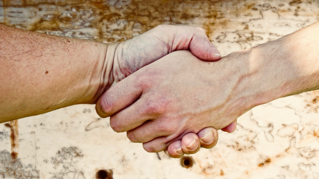 handshake_partnership_wall