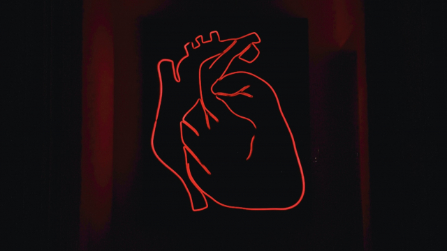 heart_anatomical_neon_unsplash