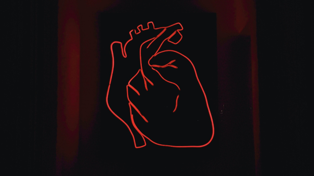 heart_anatomical_neon_unsplash