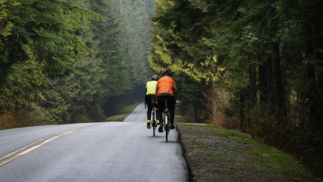 hi-vis_cyclysits_forest_unsplash