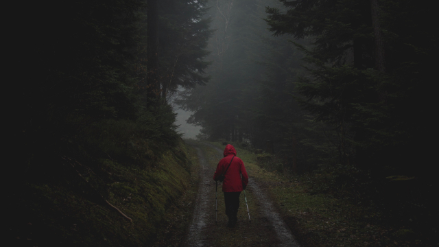 hiking_rain_trees_unsplash