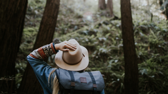 hiking_trees_hat_unsplash