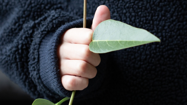 holding_plant_hand_unsplash