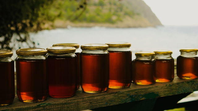 honey_jars_bench_nature