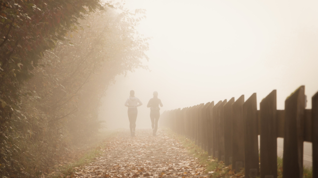 jogging_together_path_unsplash