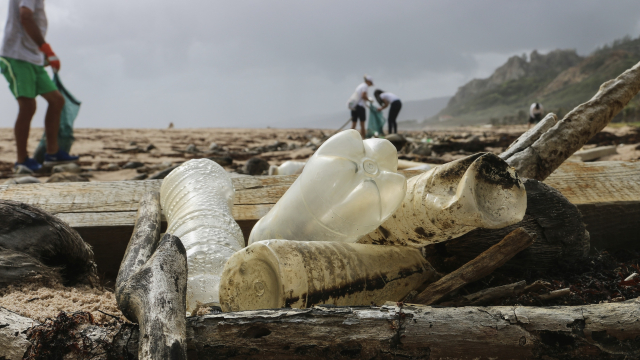 litter_beach_cleaning_unsplash