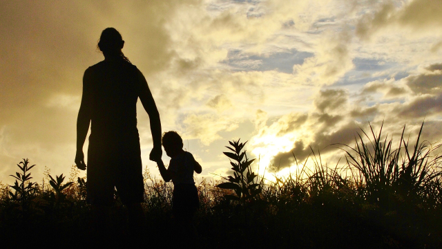 man_boy_silhouette_field