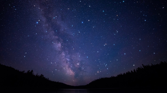 milky_way_stars_trees