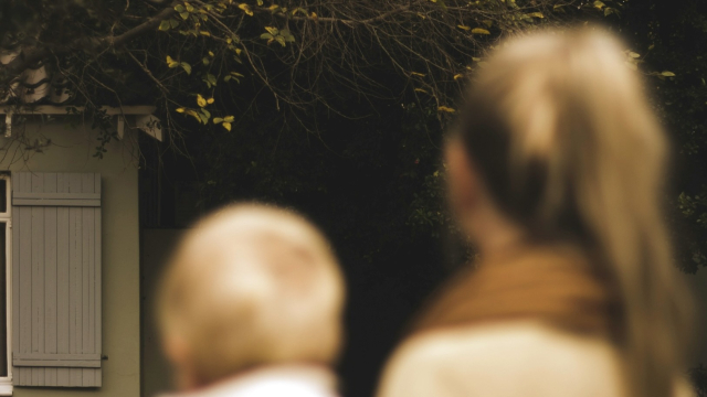 mum_parent_trees_unsplash