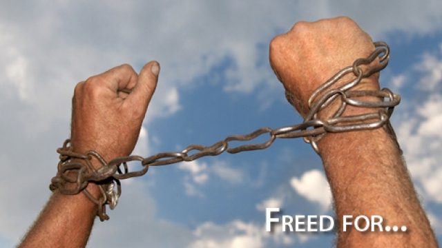 Freed For…