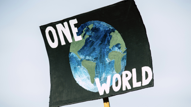 one_world_banner_placard_unsplash