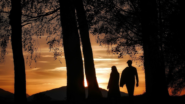 pair_silhouette_walking_sunset