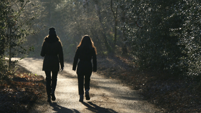 pair_walking_forest_road_unsplash