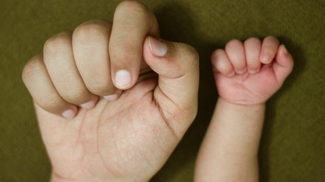 parent_baby_hands