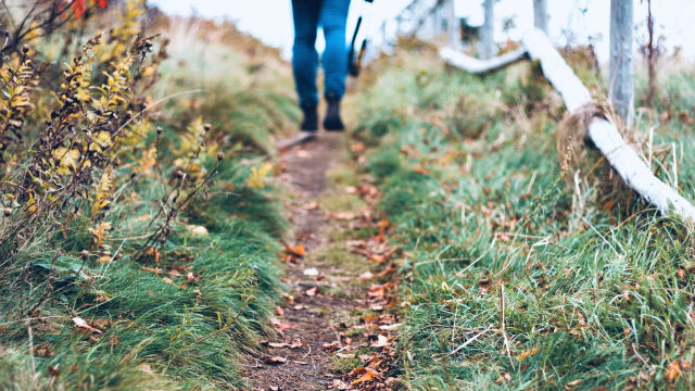 path_walking_boots_unsplash