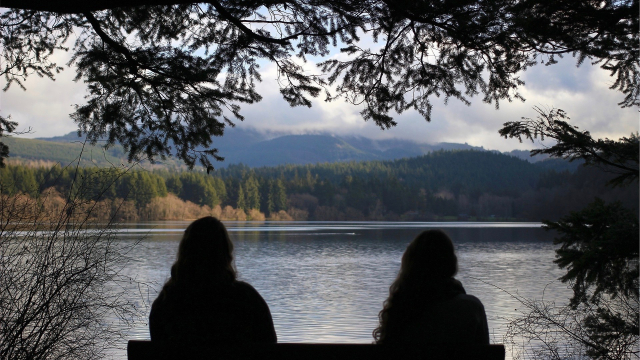 people_bench_lake_nature