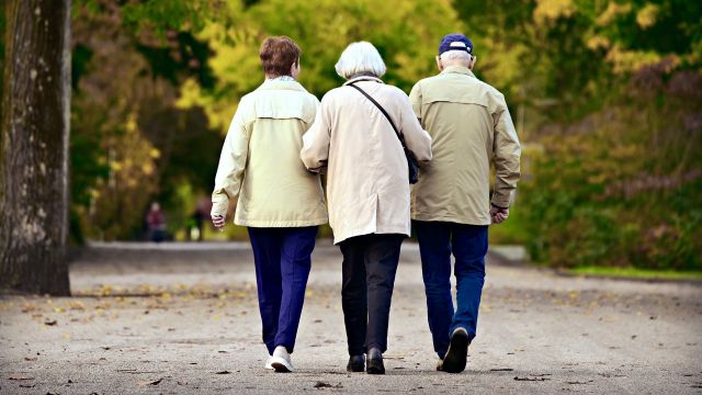 people_elderly_walking