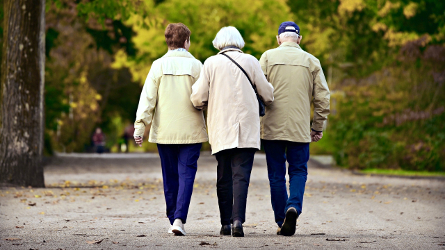 people_elderly_walking