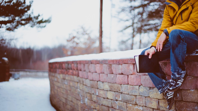 person_book_sitting_wall