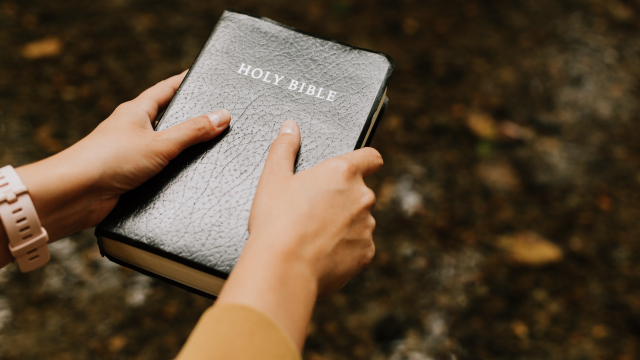 person_holding_bible_forest_unsplash