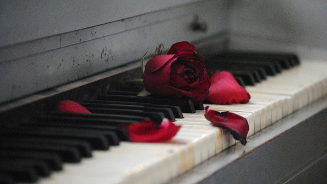piano_rose_petals