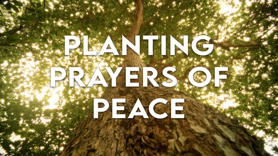 Planting Prayers of Peace