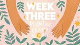 Week Three